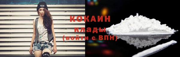 гашик Балахна