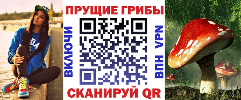 сколько стоит  Заозёрск  omg ССЫЛКА  Галлюциногенные грибы Cubensis 